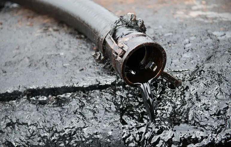 Каролина Ескара: Нафта није једини венецуелански извозни производ