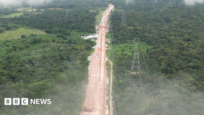 Brazil: Kroz Amazoniju se gradi auto-put za potrebe klimatskog samita COP30 u Belemu