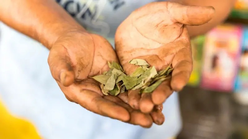 Хуан де Диос Гевара: Наркотрговина као изазов управљању и развоју